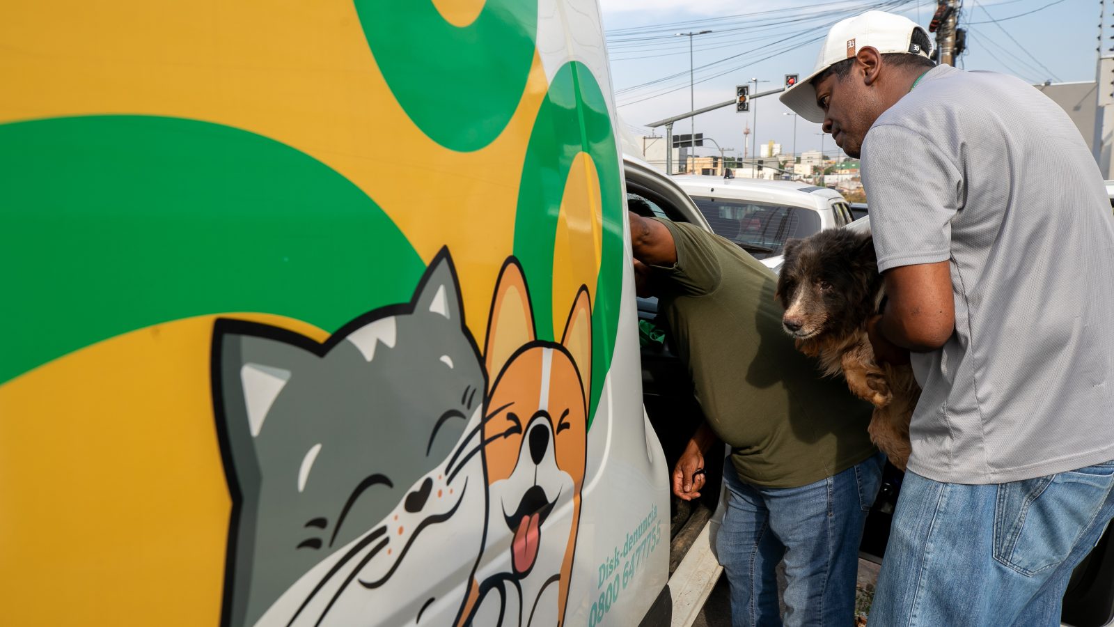 Denúncia de canil clandestino no Centro de Cuiabá termina com oito animais resgatados e um morto