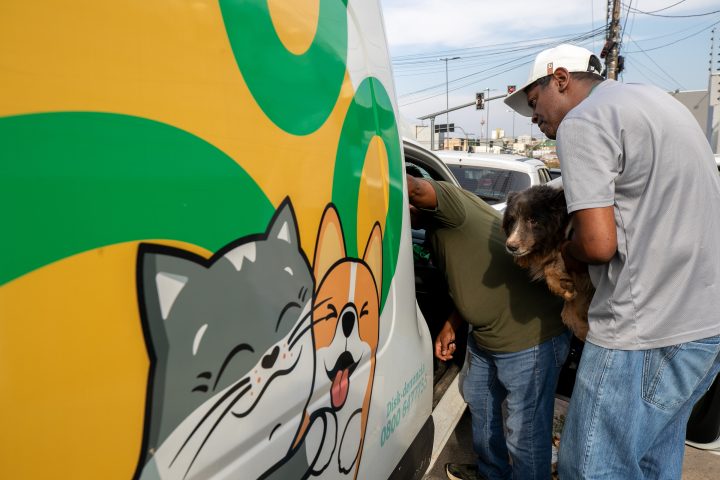 Denúncia de canil clandestino no Centro de Cuiabá termina com oito animais resgatados e um morto