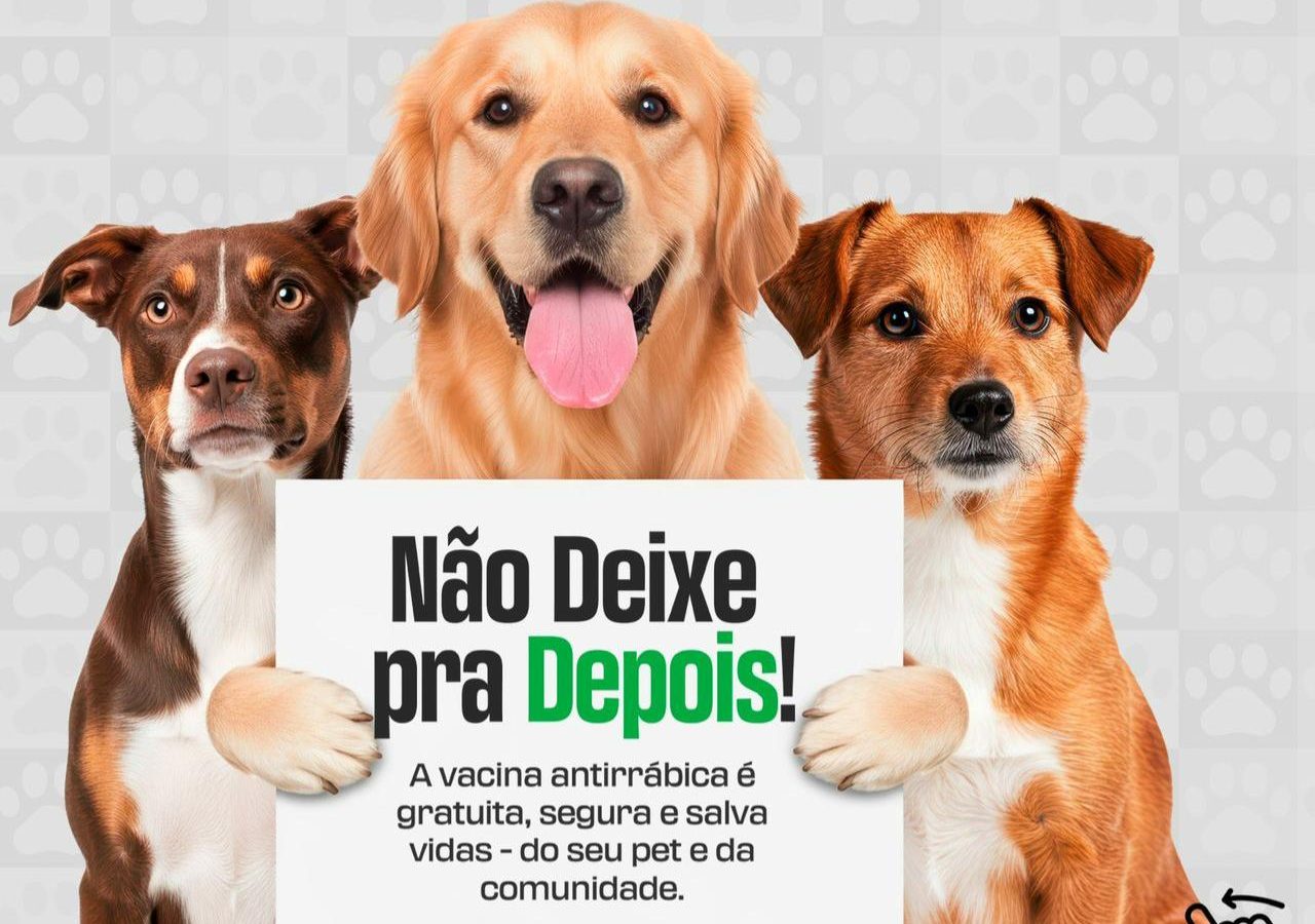 Primavera do Leste vacina cães e gatos contra a raiva em 17 pontos nos dias 12 e 19 de setembro