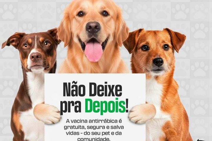 Primavera do Leste vacina cães e gatos contra a raiva em 17 pontos nos dias 12 e 19 de setembro