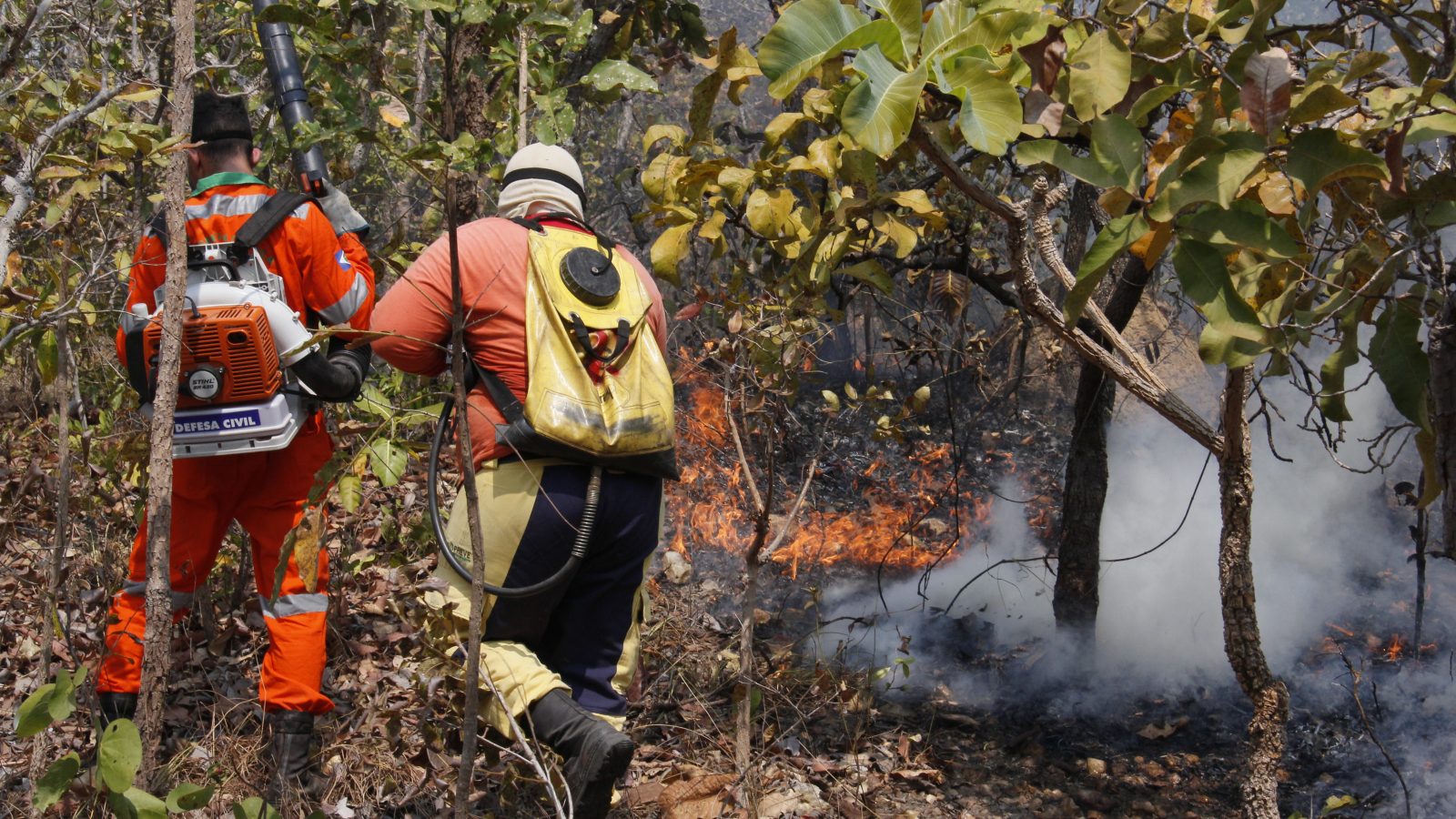 Cuiabá registra 228 ocorrências de incêndio em vegetação de janeiro a agosto, 15 a menos que em 2025