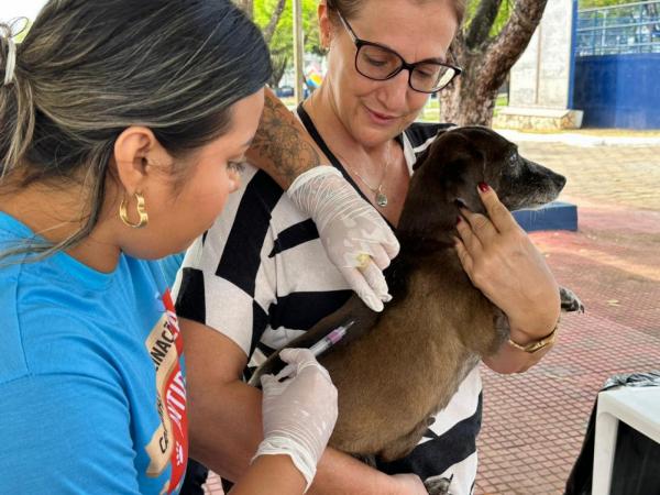 Antirrábica em Sorriso chega a 3.573 animais vacinados, 15,53% da meta