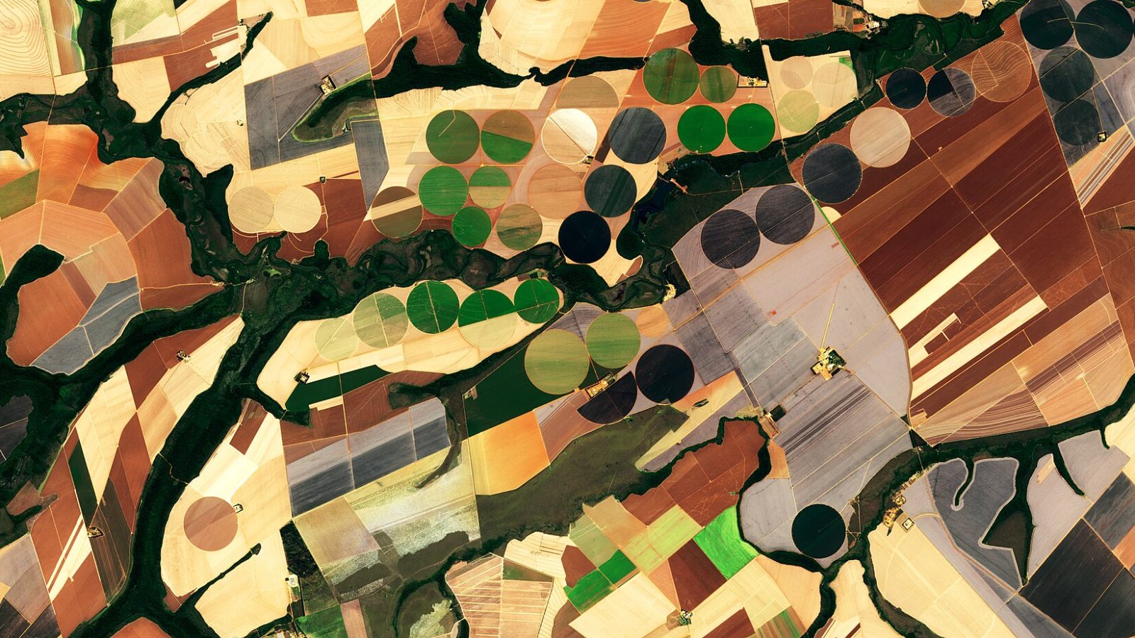 Soy Production In Brazil - 46200453244