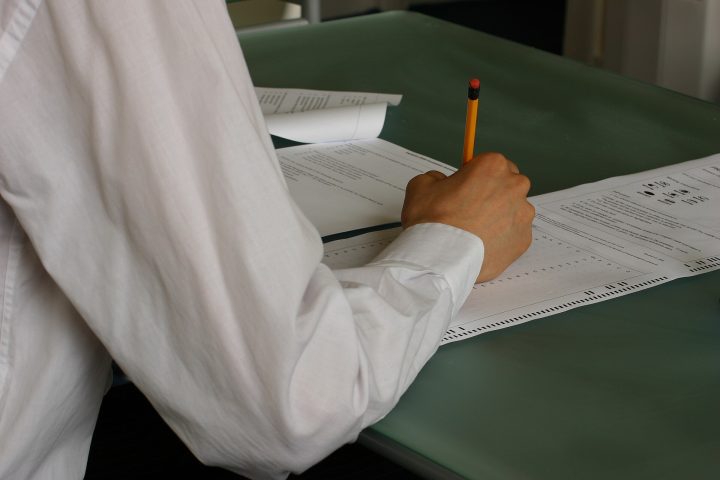 Imagem ilustrativa. Foto: Alison wood/Wikimedia Commons (CC BY 3.0)