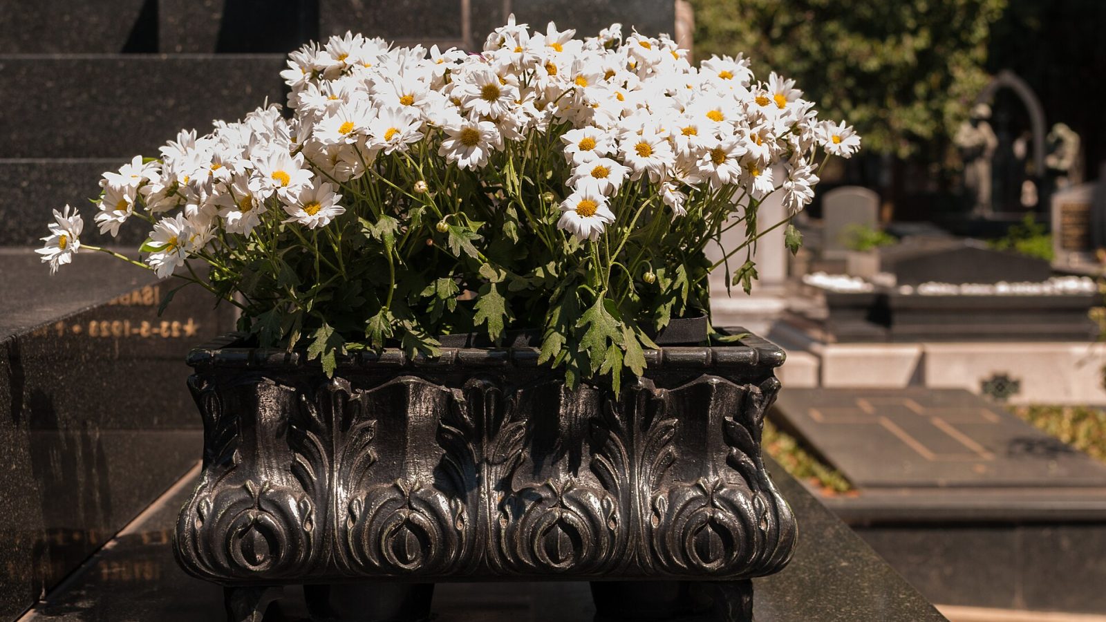 Flores sobre túmulo em cemitério