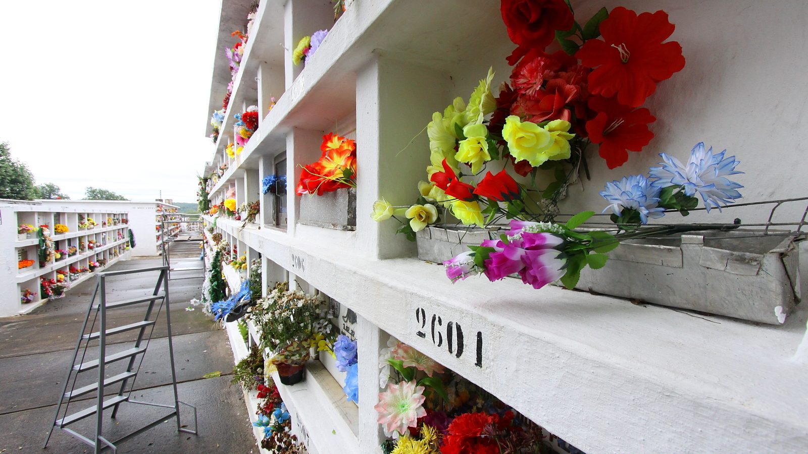 Gavetas de cemitério com vasos de flores