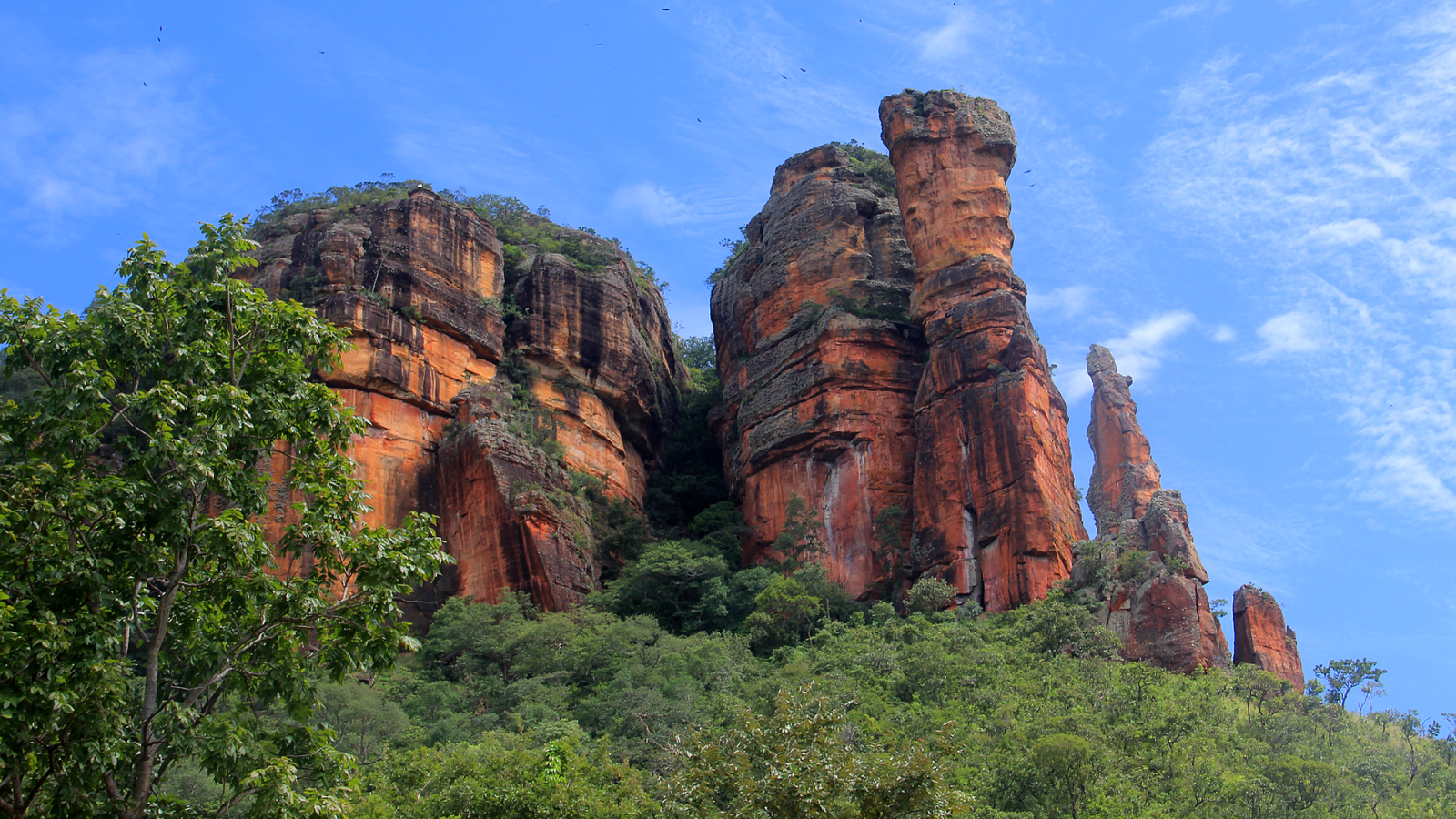 Serra do Roncador
