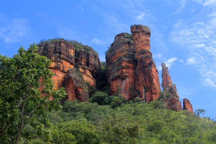 Serra do Roncador