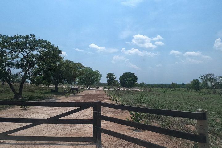 Cemitério Rural - Ribeirão Cascalheira - MT