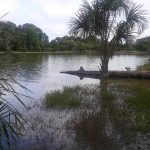 Parque Ecológico de Sinop
