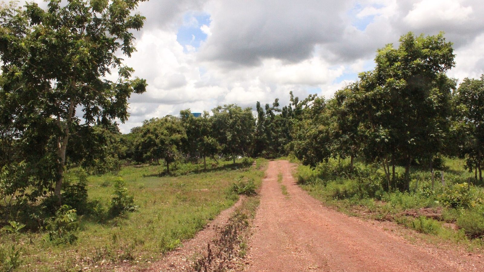 Estrada na Comunidade Quilombola Mata Cavalo de Cima, em Mato Grosso