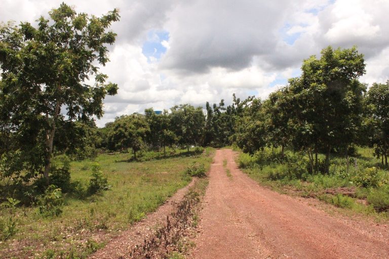 Estrada na Comunidade Quilombola Mata Cavalo de Cima, em Mato Grosso